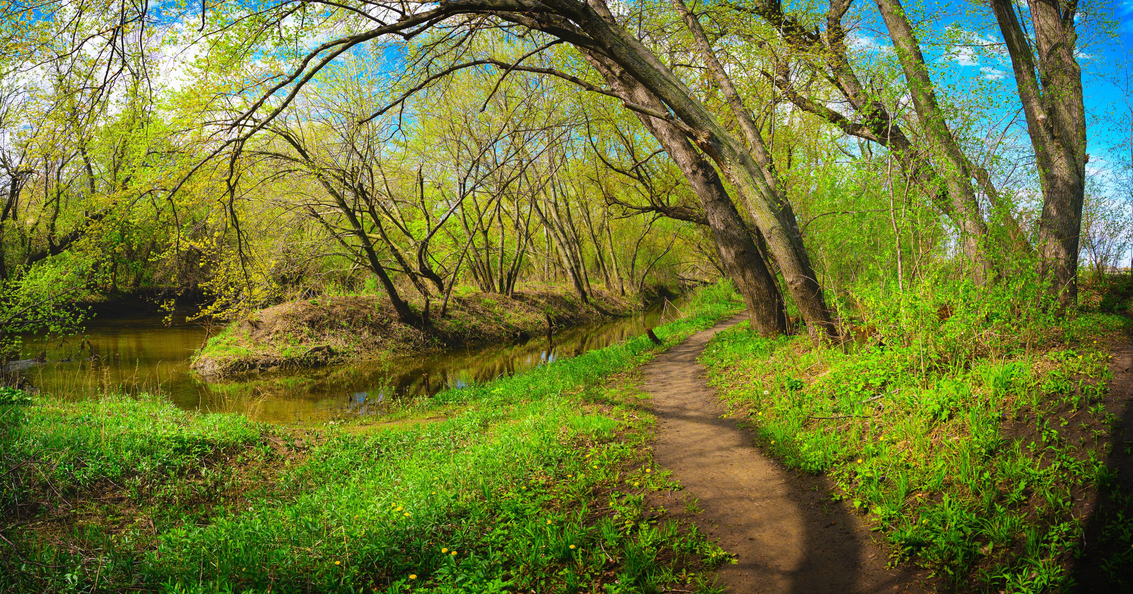 Forest Riverside Spring Walking Trails along the Big Sioux River in Sioux Falls, Minnehaha County, South Dakota, with bare tree branches sprouting green