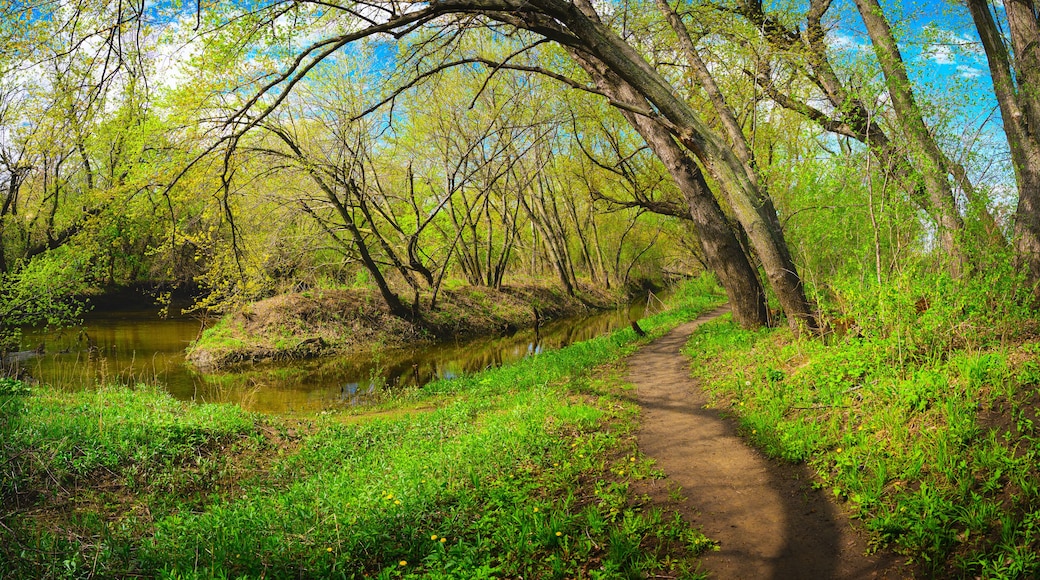 Forest Riverside Spring Walking Trails along the Big Sioux River in Sioux Falls, Minnehaha County, South Dakota, with bare tree branches sprouting green
