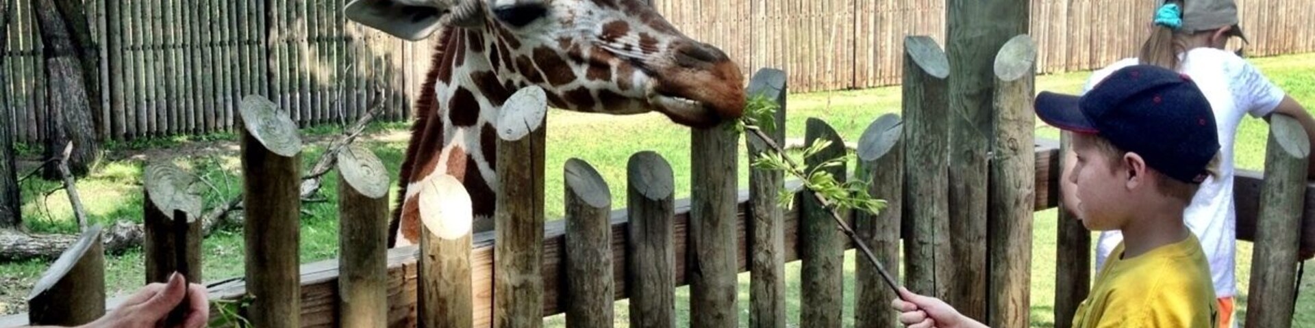 Guests can feed the giraffes in the African exhibit at the Great Plains Zoo.