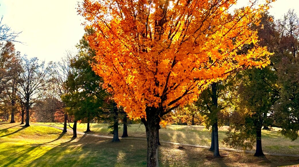 Noreste de Louisville