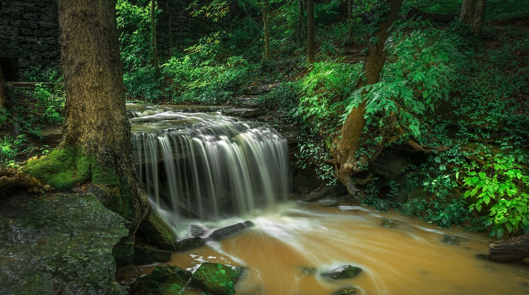 Noreste de Louisville