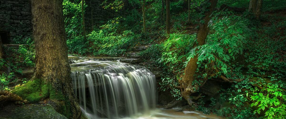 A waterfall in a forested area with moss-covered rocks and lush greenery.