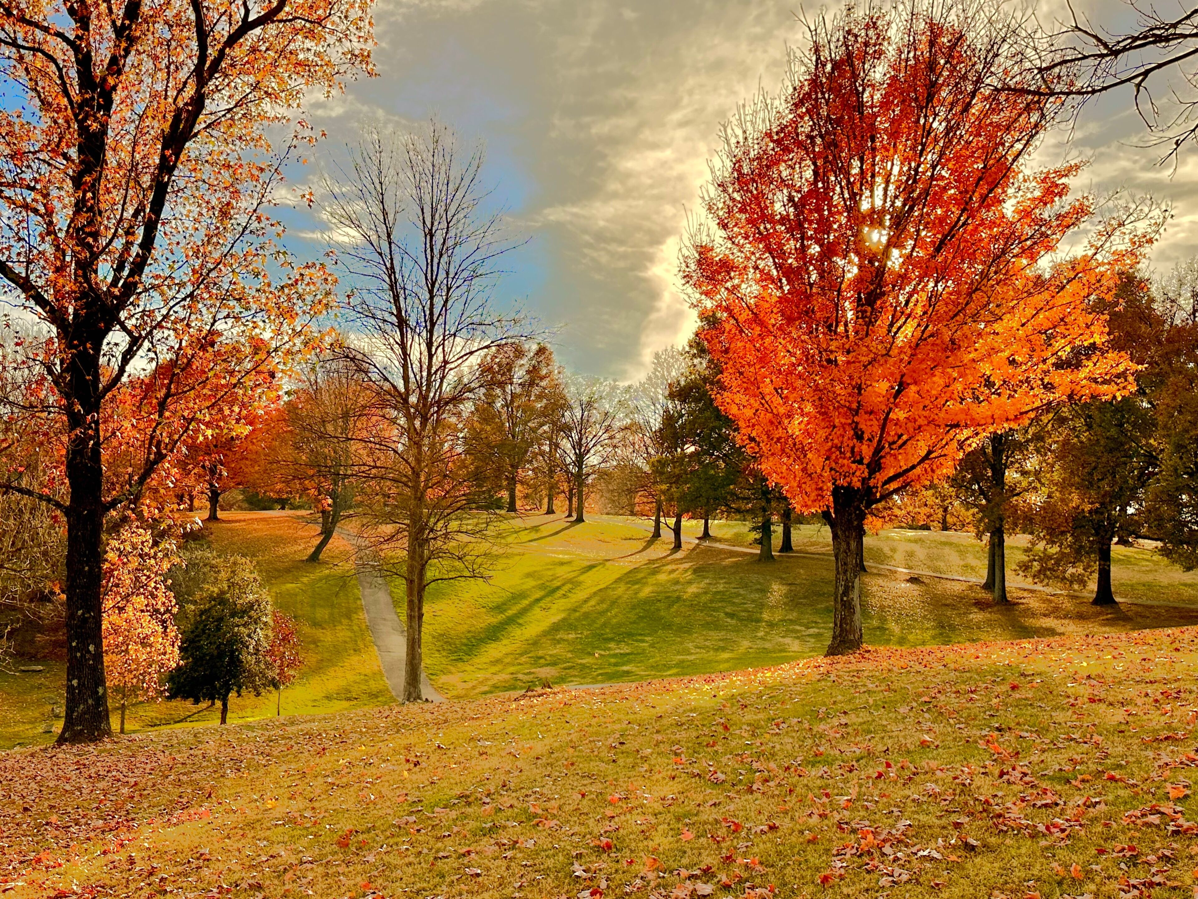 Noreste de Louisville