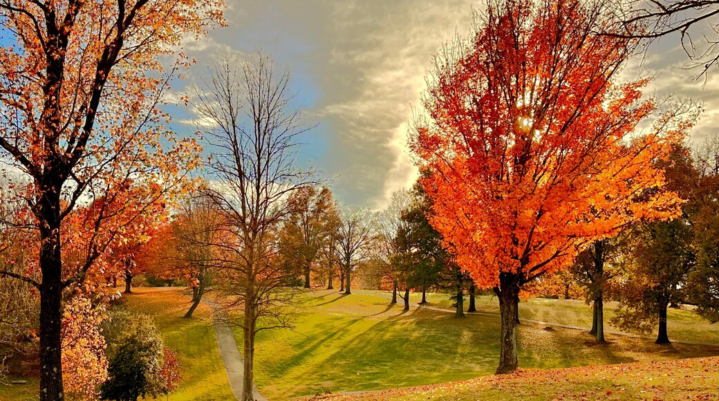 Noreste de Louisville