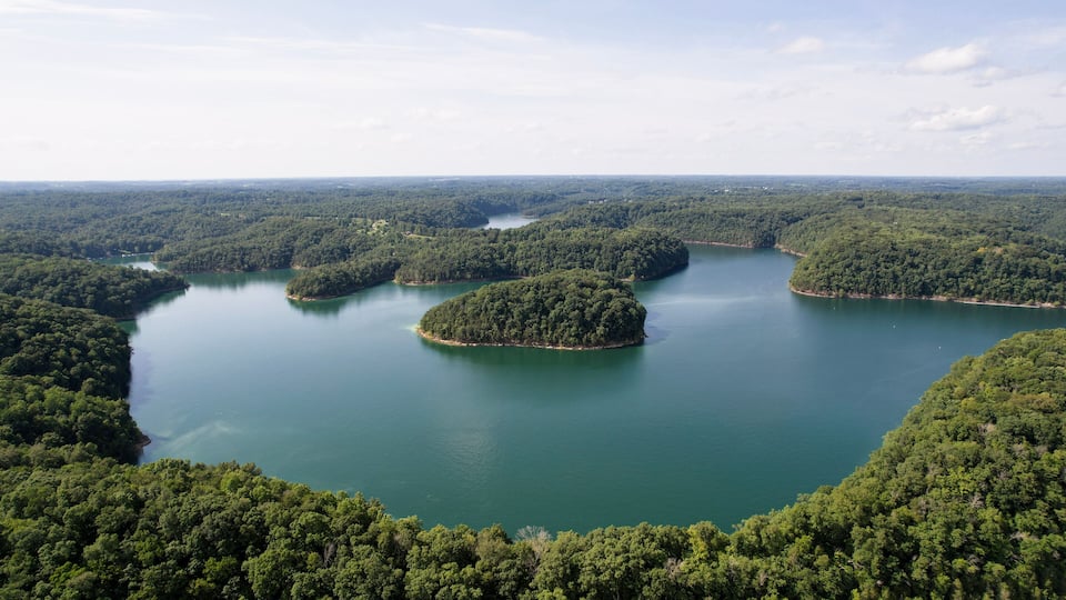 A lake surrounded by dense forest.