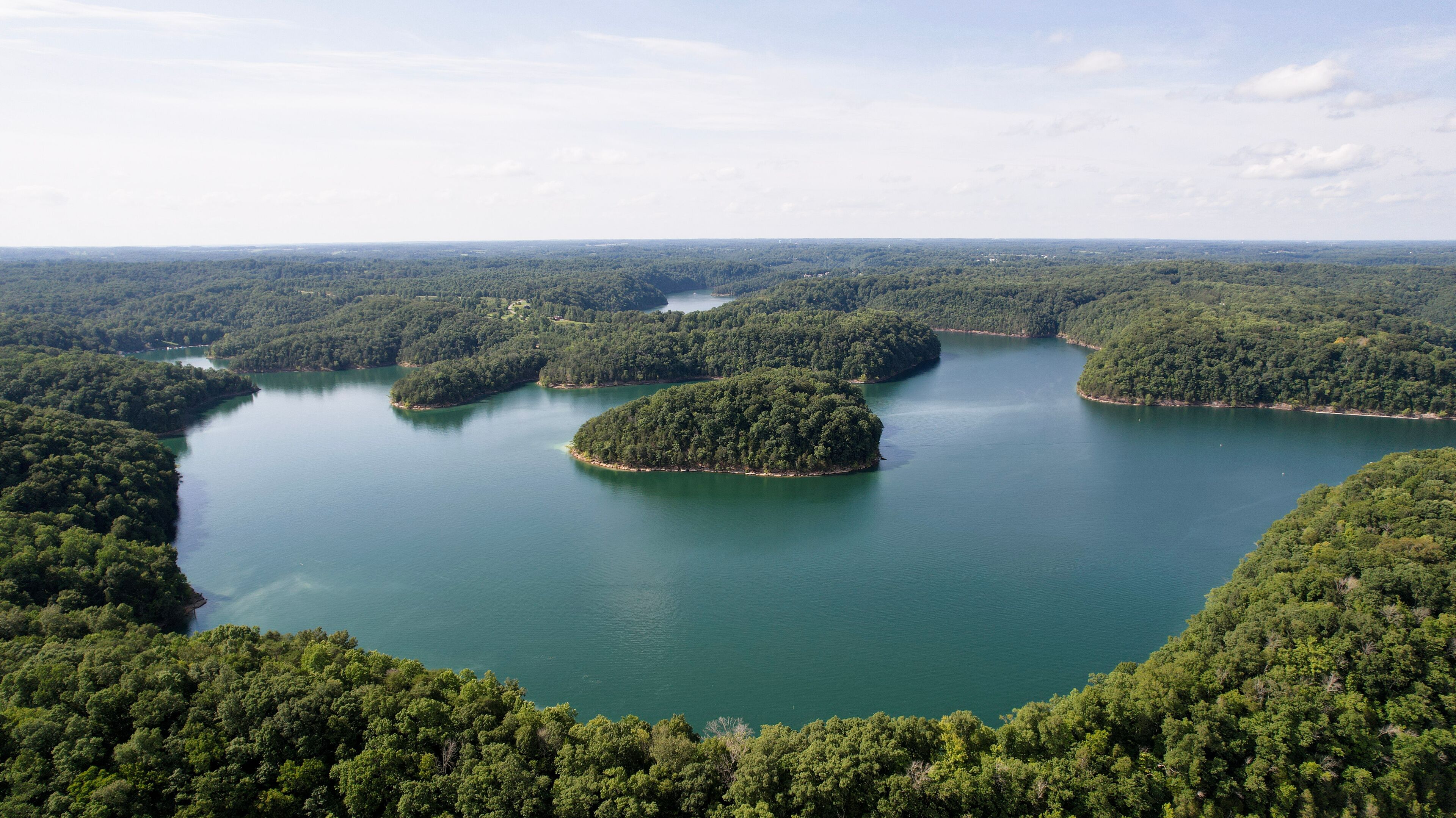 A lake surrounded by dense forest.