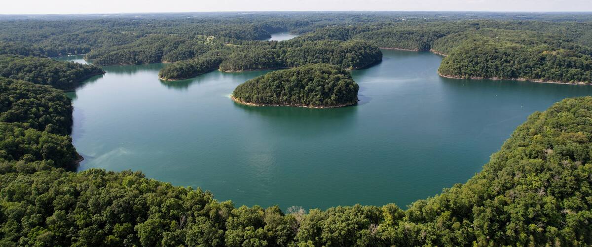 A lake surrounded by dense forest.