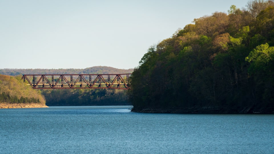 A steel bridge over a calm river, surrounded by dense forest and hills in the background.