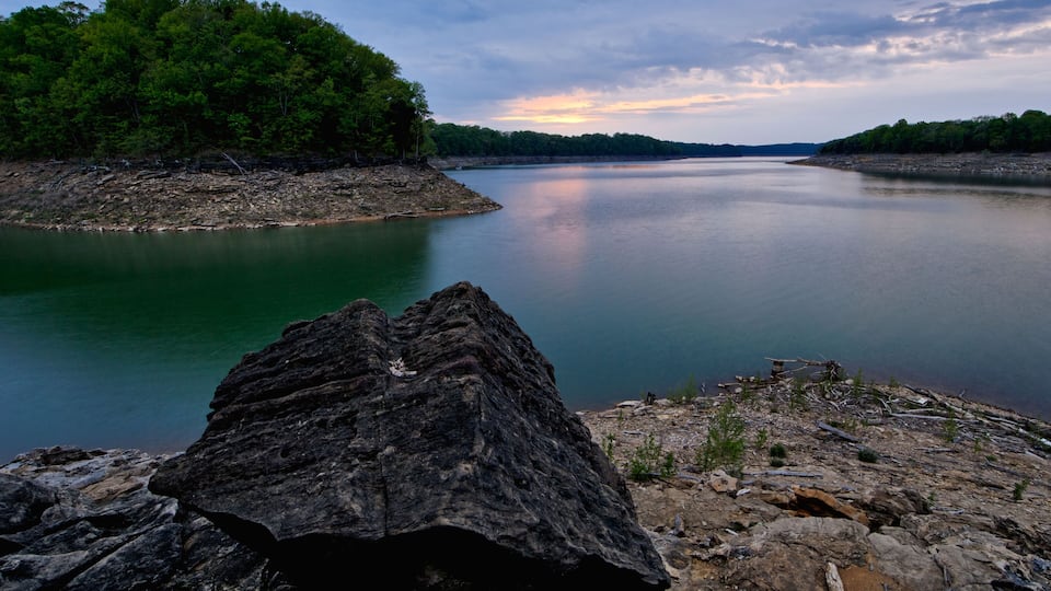 A calm lake with a rocky shoreline and dense forest in the background.