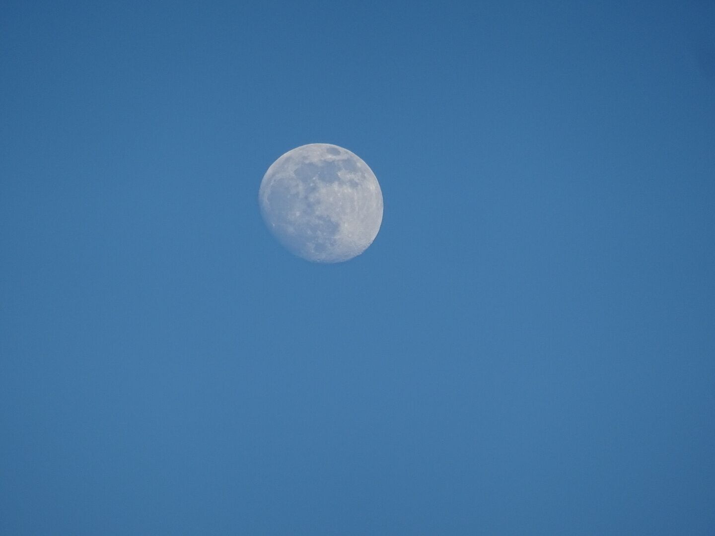 My first moon photo!

Zoomed in on it from the same vantage point as my previous post!

Strouds Run State Park contains 2,606 acres of uninterrupted hardwood, the 161-acre Dow Lake, a 900-foot sand beach, 6 #hiking trails, 15 mountain biking/hiking trails and 10 bridle/hiking trails.