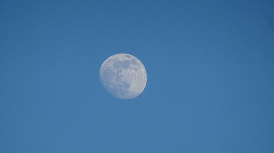 My first moon photo!
Zoomed in on it from the same vantage point as my previous post!
Strouds Run State Park contains 2,606 acres of uninterrupted hardwood, the 161-acre Dow Lake, a 900-foot sand beach, 6 #hiking trails, 15 mountain biking/hiking trails and 10 bridle/hiking trails.