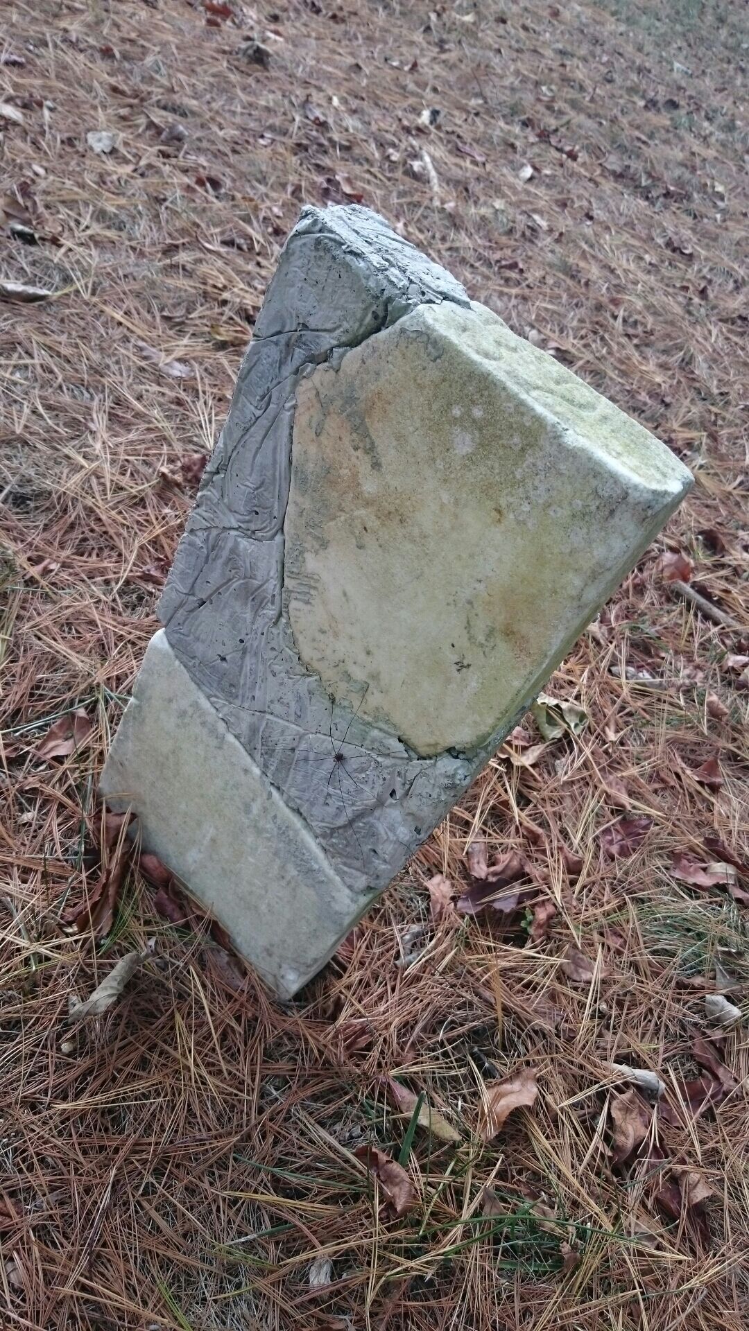 There are 1,930 people buried at the three cemeteries on the grounds of the former Athens Lunatic Asylum. 
Most graves are marked only with a number. After 1943, the state began putting names, births, and deaths, on the markers of the patients who died.