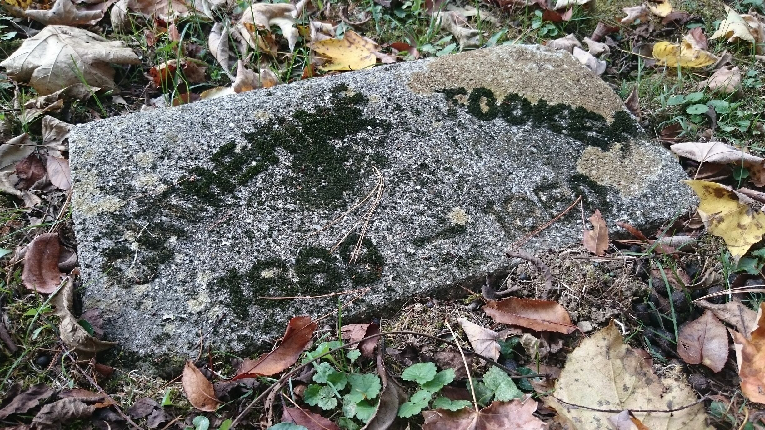 There are 1,930 people buried at the three cemeteries on the grounds of the former Athens Lunatic Asylum. 

Most graves are marked only with a number. After 1943, the state began putting names, births, and deaths, on the markers of the patients who died. 