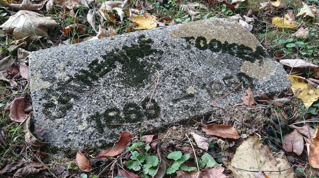 There are 1,930 people buried at the three cemeteries on the grounds of the former Athens Lunatic Asylum.
Most graves are marked only with a number. After 1943, the state began putting names, births, and deaths, on the markers of the patients who died.