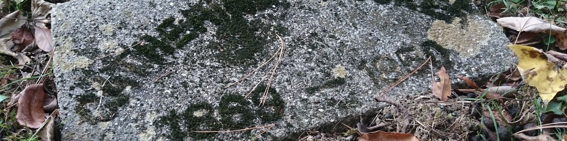 There are 1,930 people buried at the three cemeteries on the grounds of the former Athens Lunatic Asylum.
Most graves are marked only with a number. After 1943, the state began putting names, births, and deaths, on the markers of the patients who died.