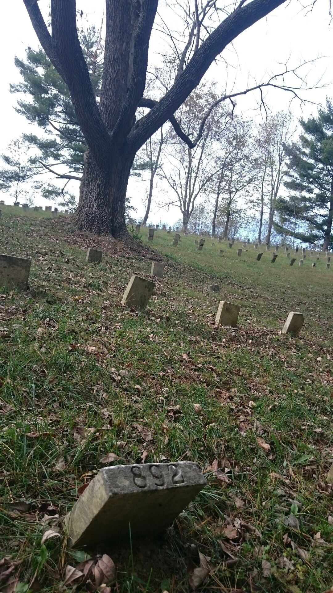 There are 1,930 people buried at the three cemeteries on the grounds of the former Athens Lunatic Asylum. 

Most graves are marked only with a number. After 1943, the state began putting names, births, and deaths, on the markers of the patients who died. 