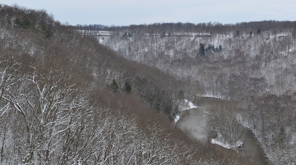 Good hiking trails, waterfalls,cliffs and great views. You can also hike down to the creek and see another island that you cant see in the photo. If your lucky you'll also see the eagles flying in the valley.