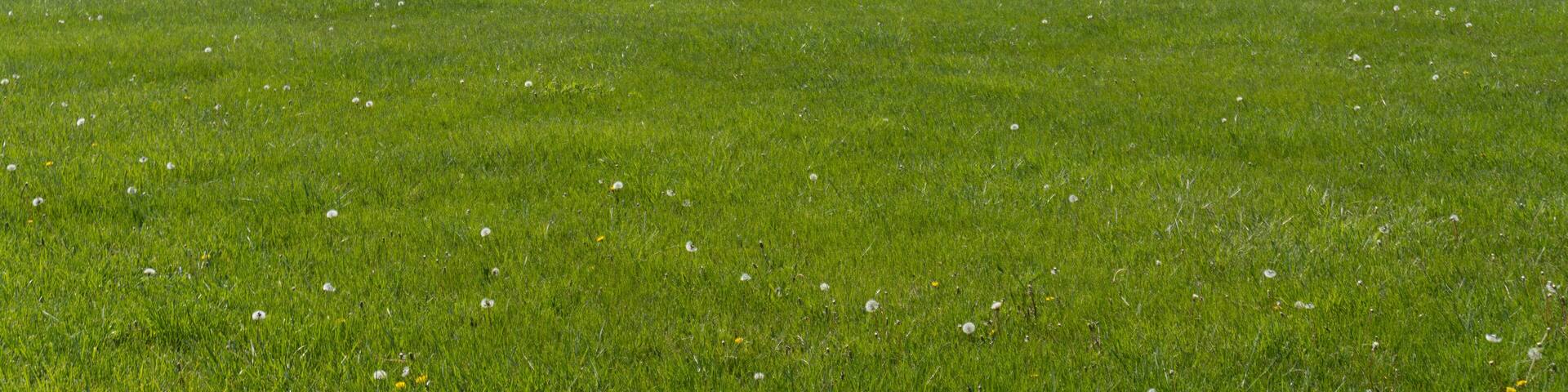 Hopewell Culture National Historical Park with earthworks and burial mounds from indigenous peoples who flourished from about 200 BC to AD 500. Mound City group in Chillicothe, Ohio.