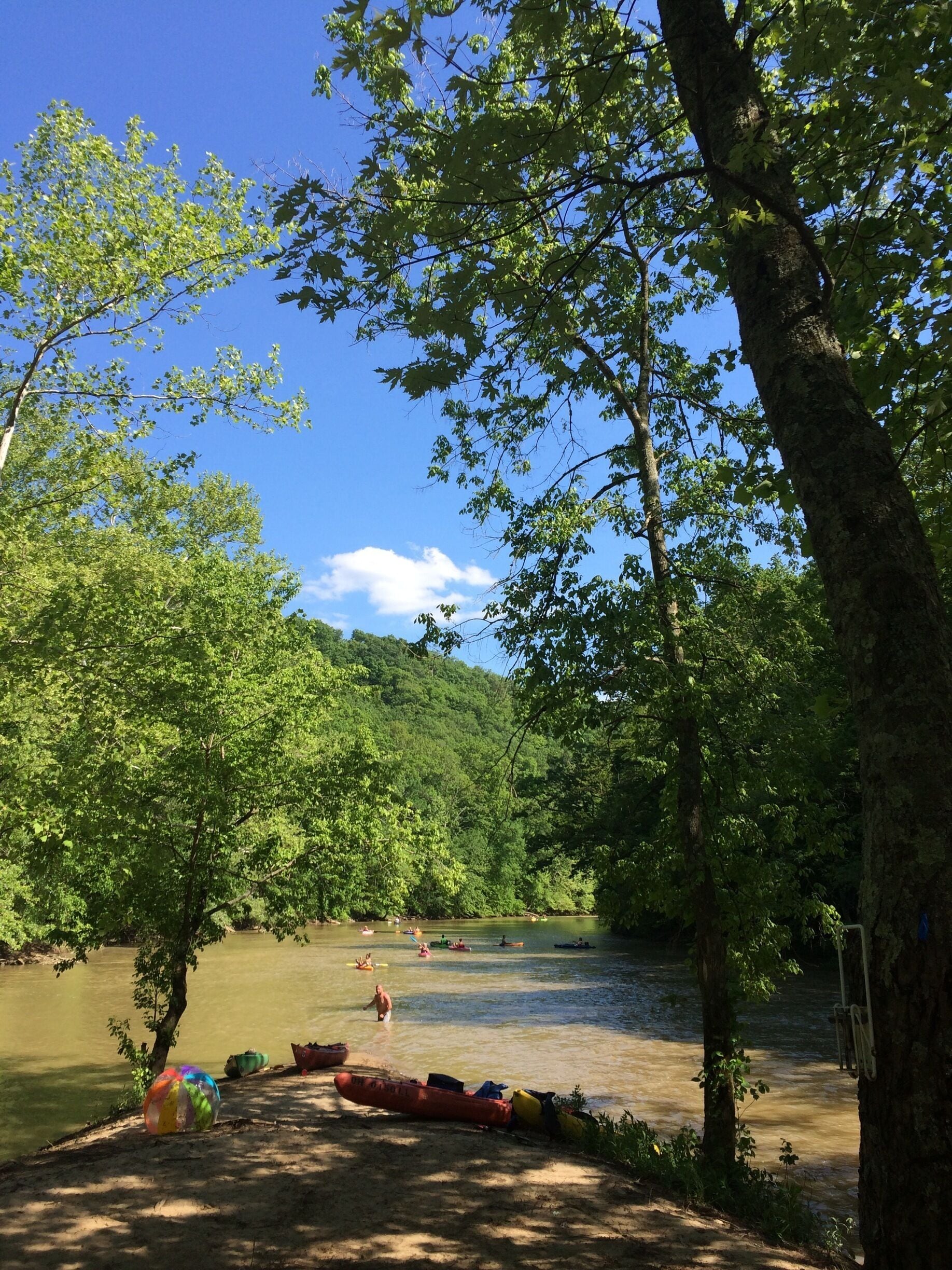 A river surrounded by lush green trees and a clear blue sky.
