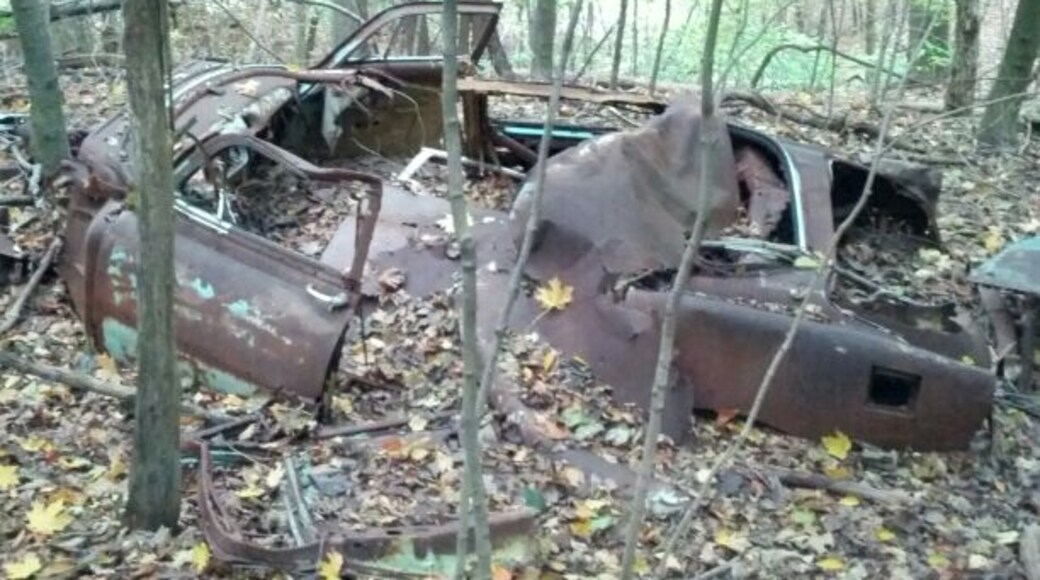 The rusted out shell of an #abandoned old car found just off a hiking trail inside Great Seal State Park. Based upon the state of decay, the style of the body and the fact that there is a 30ft tree growing up through where the engine should be...this guy's been here awhile.