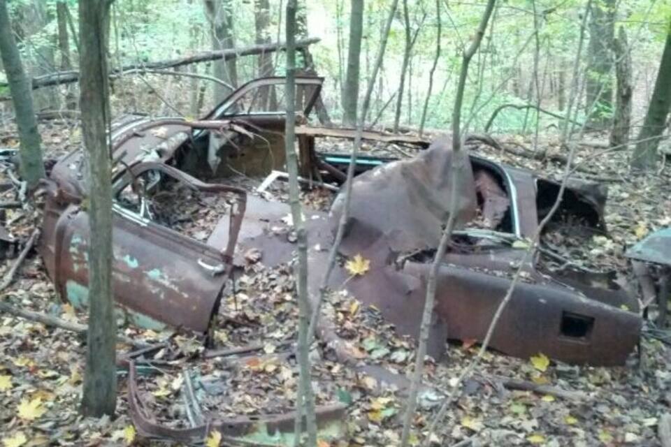 A rusted vehicle in a forest.