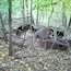 The rusted out shell of an #abandoned old car found just off a hiking trail inside Great Seal State Park. Based upon the state of decay, the style of the body and the fact that there is a 30ft tree growing up through where the engine should be...this guy's been here awhile.