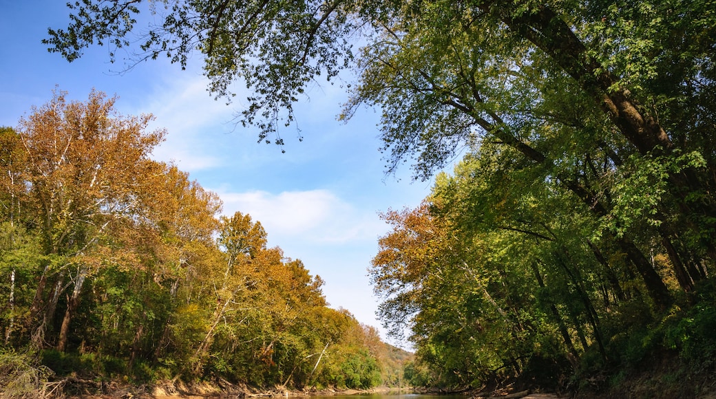 Mammoth Cave National Park