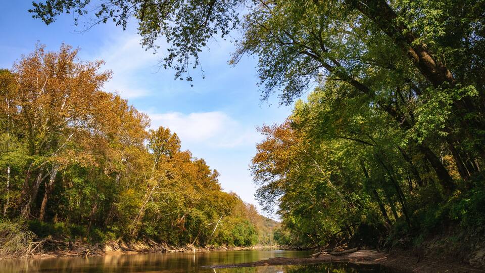 Mammoth Cave National Park
