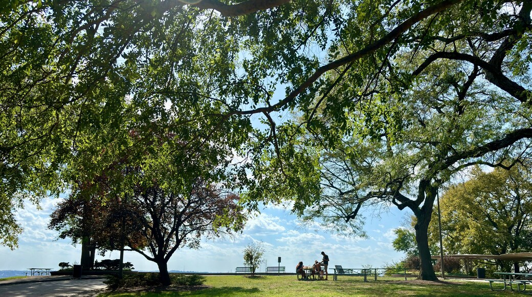 Blue Ash