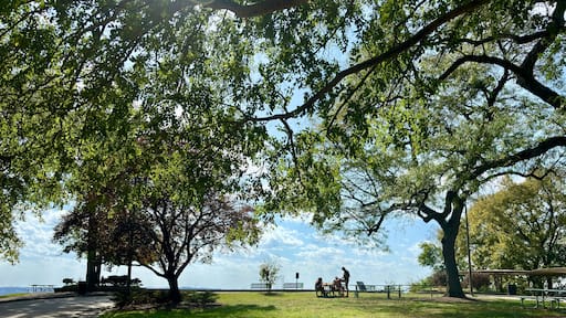 Blue Ash