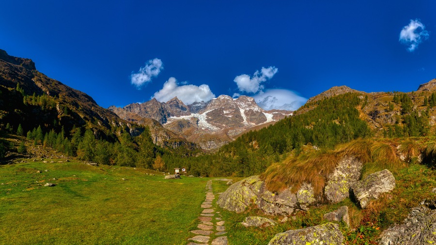 A mountain landscape with a clear sky, a grassy field, and a stone path leading towards the mountains.
