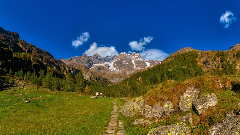 A mountain landscape with a clear sky, a grassy field, and a stone path leading towards the mountains.