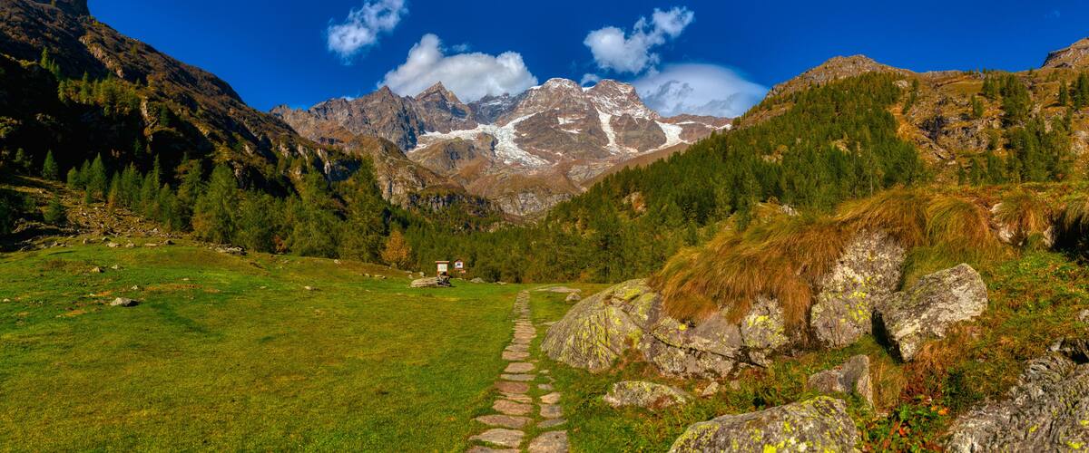 A mountain landscape with a clear sky, a grassy field, and a stone path leading towards the mountains.