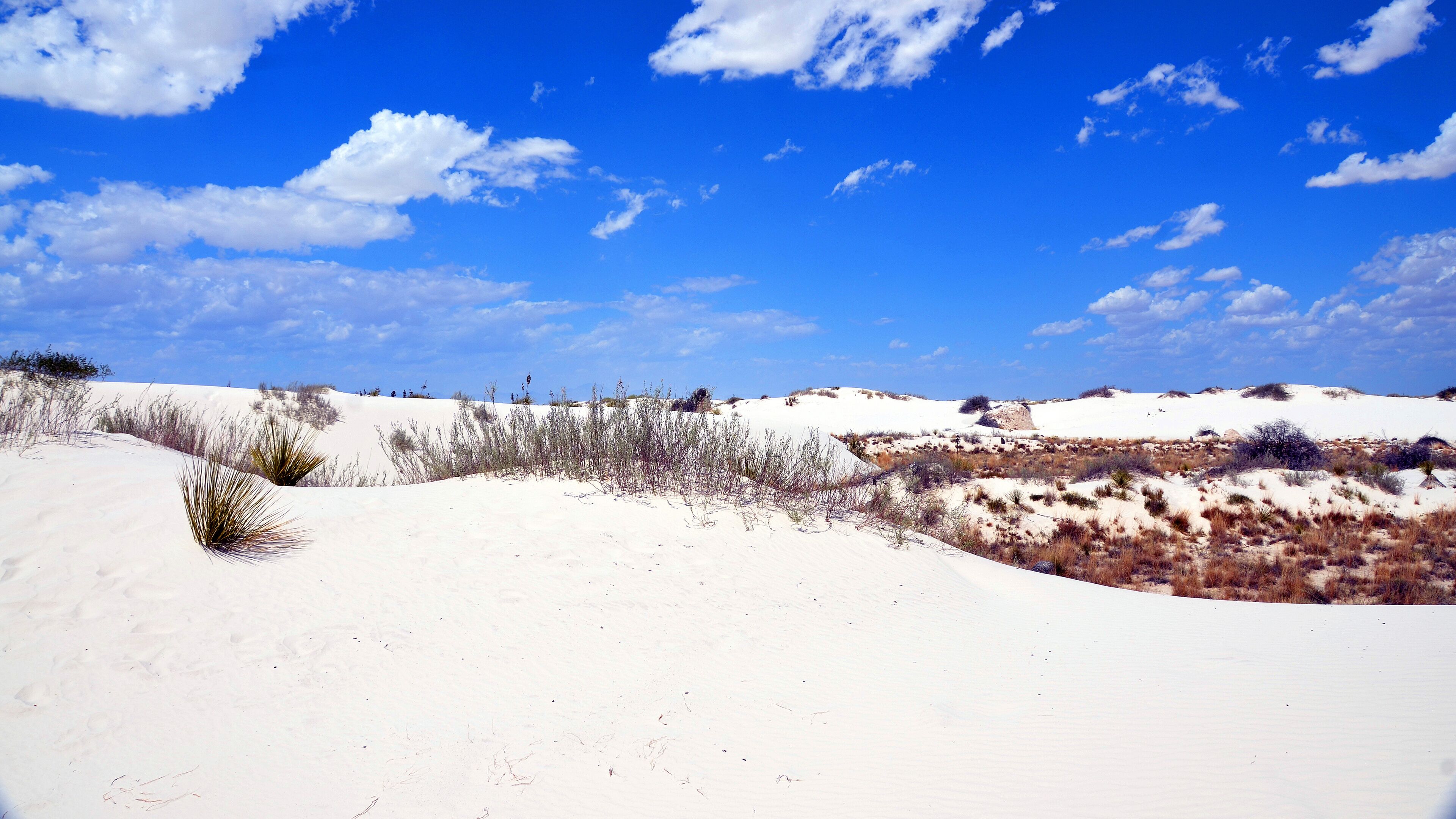 A desert landscape with sand dunes and sparse vegetation under a clear blue sky.