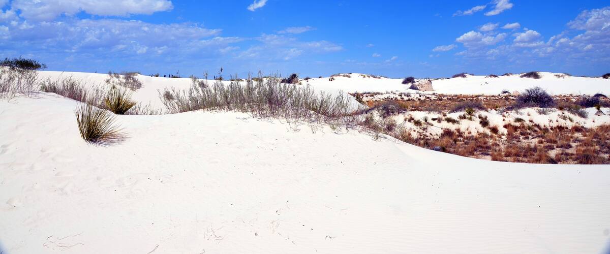 A desert landscape with sand dunes and sparse vegetation under a clear blue sky.