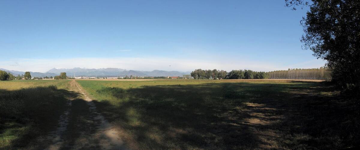 A rural landscape with a dirt path leading through fields, surrounded by trees and distant mountains.