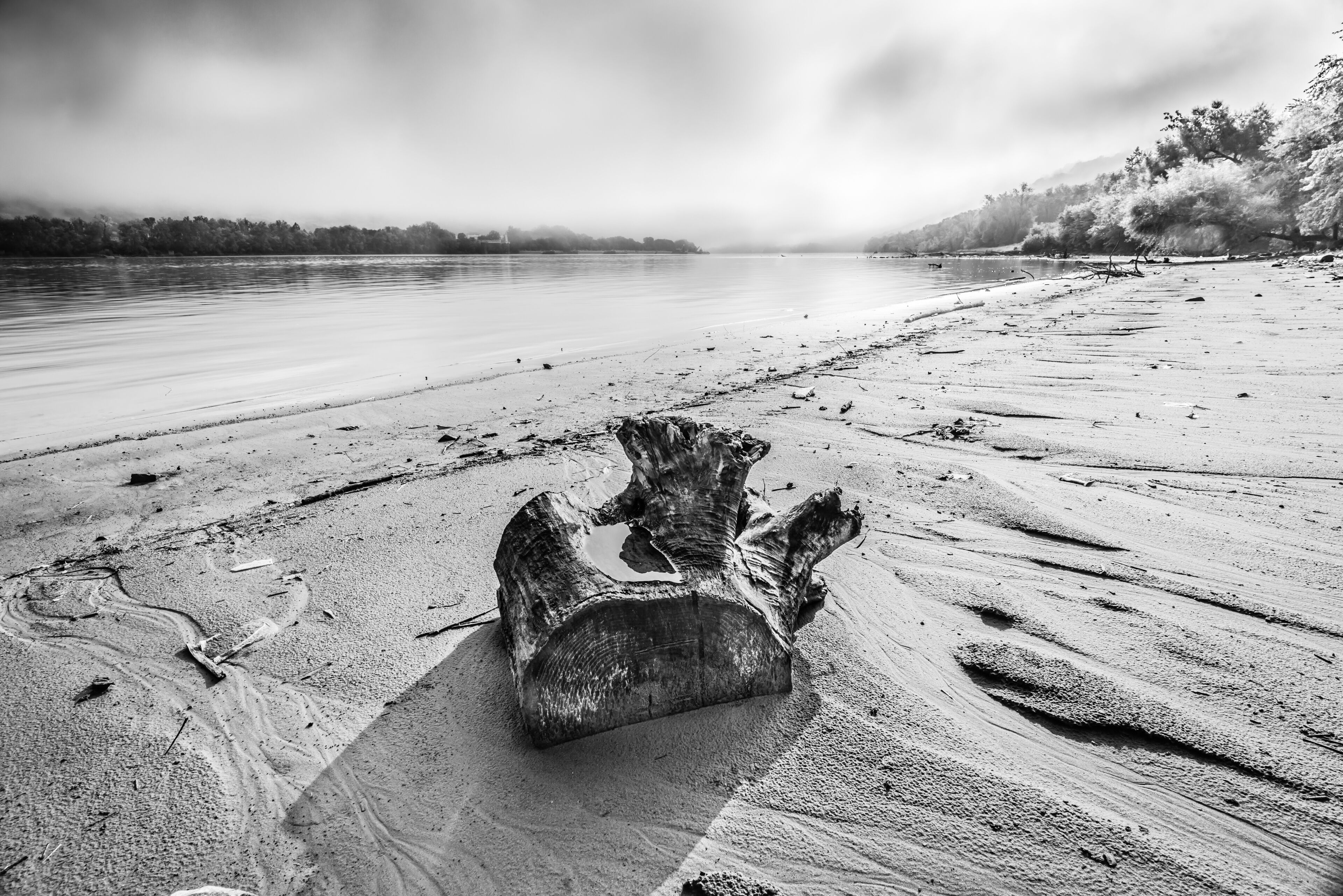 A log on a sandy beach with a calm river in the background.