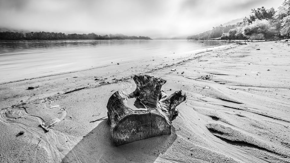 A log on a sandy beach with a calm river in the background.