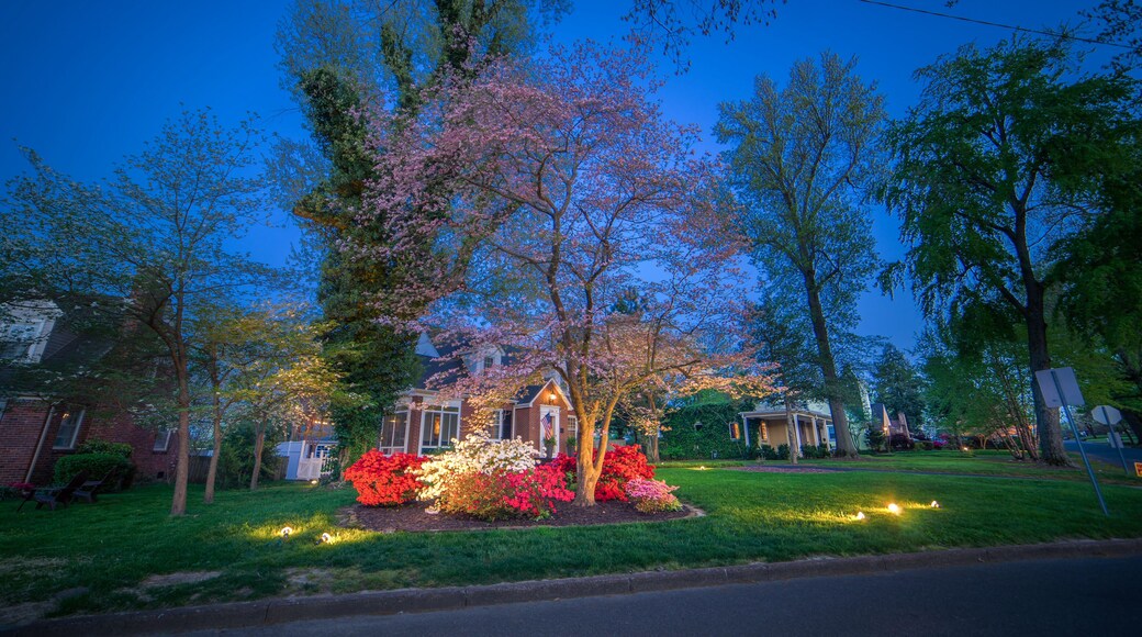 Beautiful home during Paducah's Lighted Dogwood Trail 2018