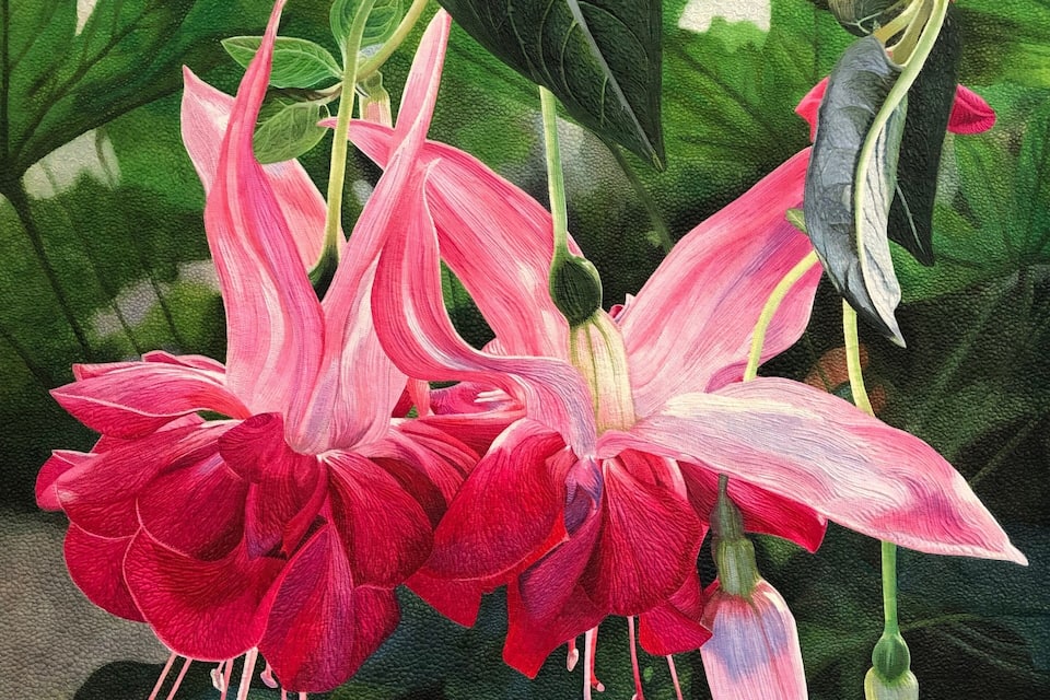 Ein Detailaufnahme von rosafarbenen und roten Blüten mit grünen Blättern.