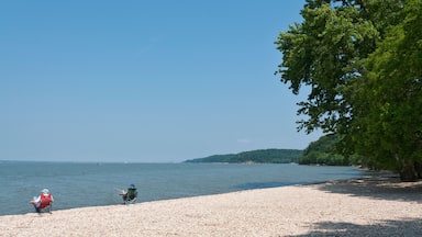 CTBETK Kentucky, Land Between the Lakes National Recreation Area, fishermen on shore of Kentucky Lake.. Image shot 2011. Exact date unknown.