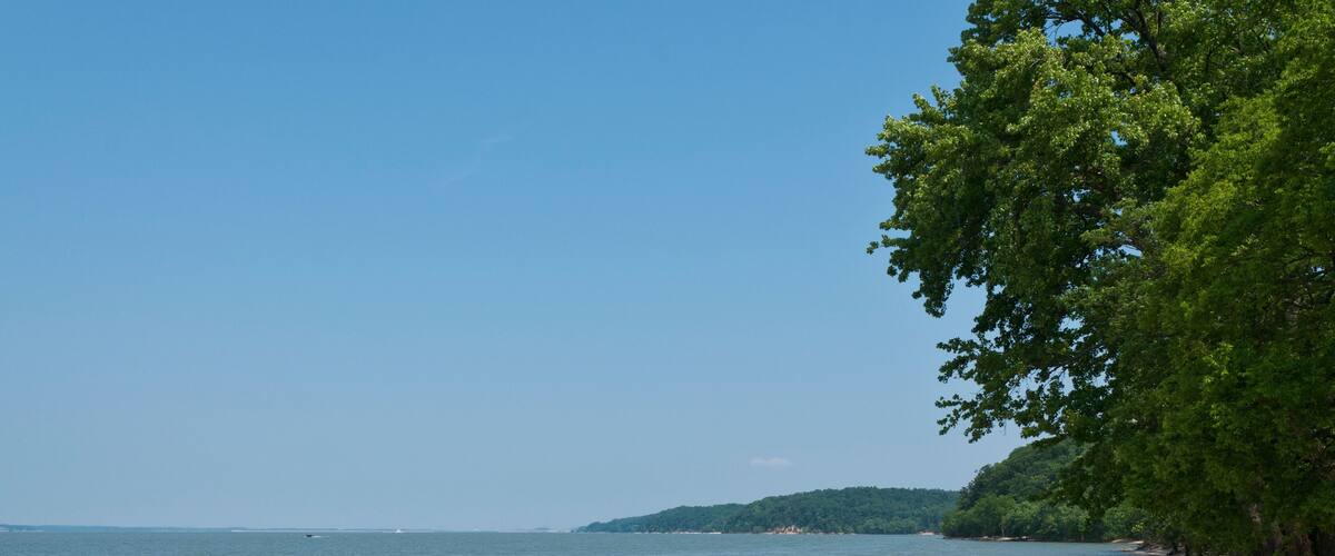 A pebbled beach with two people fishing, a clear blue sky, and a tree-lined shoreline.
