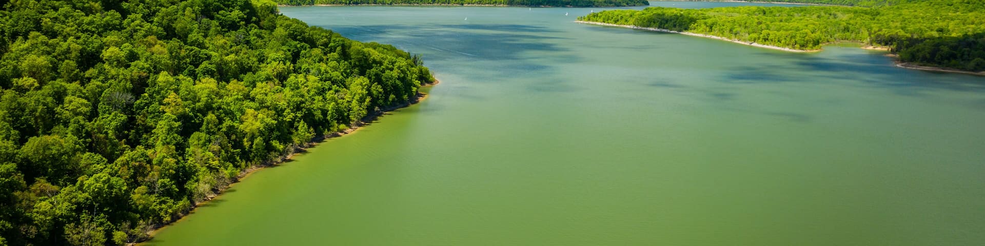 A river winding through a dense forest with a clear sky above.