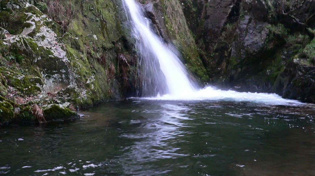 Piscina natural en Muiños de Parafita