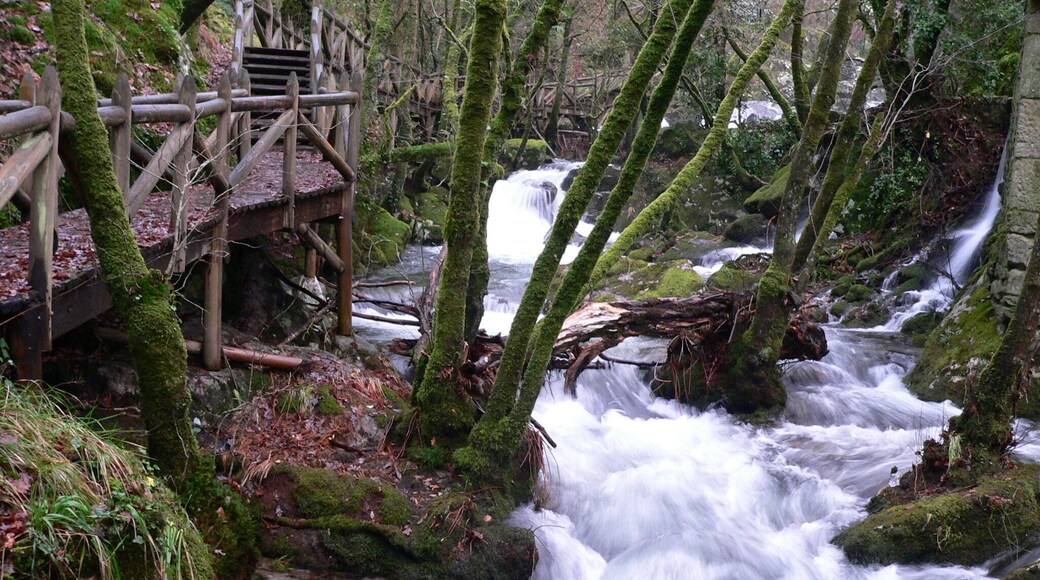 Valga, Pontevedra, Spain