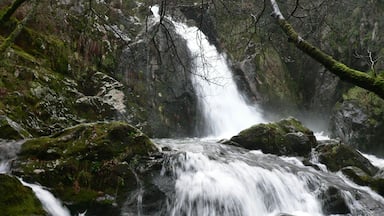 Valga, Pontevedra, Spain