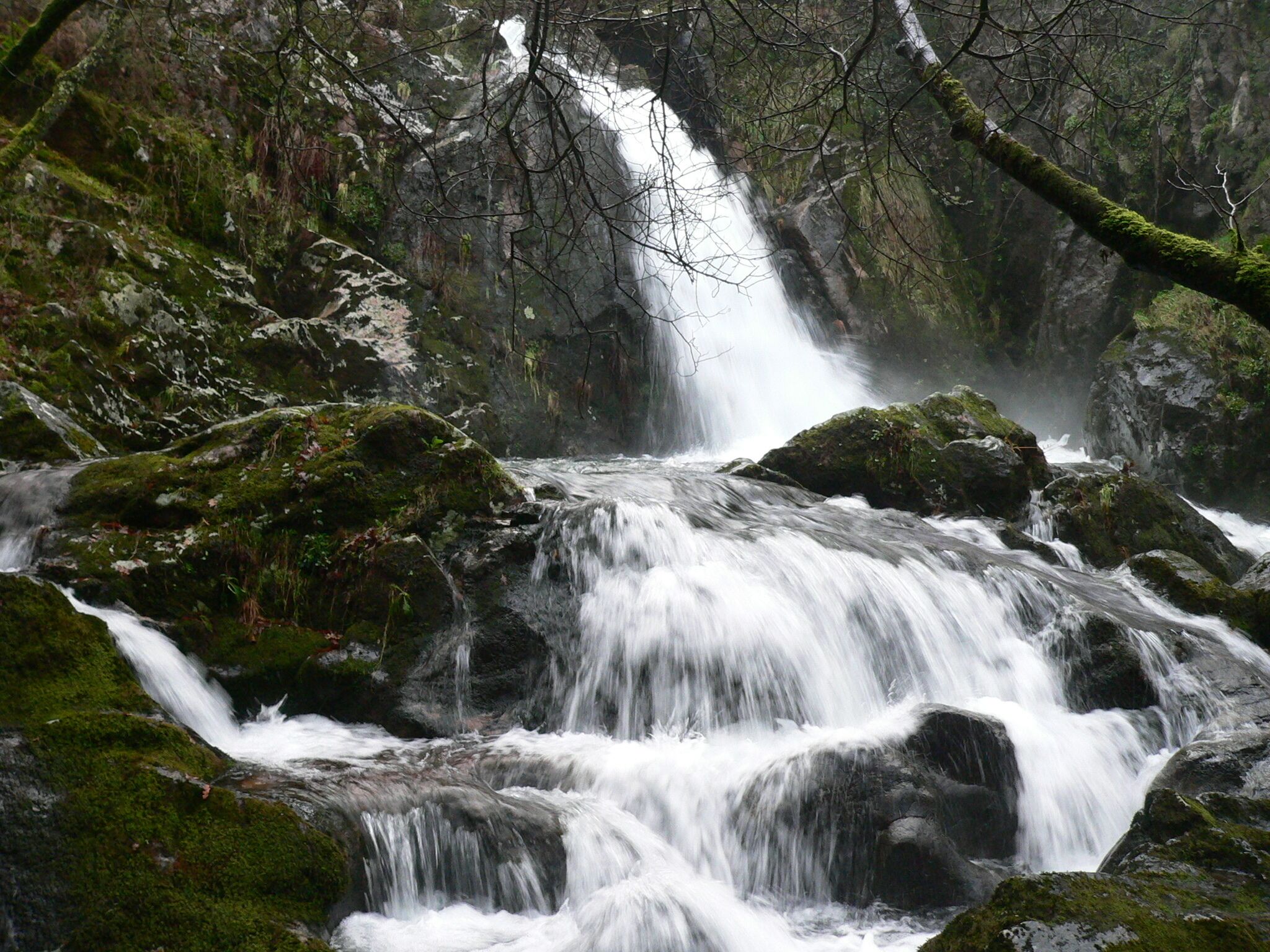 A cascading waterfall surrounded by moss-covered rocks and dense forest.