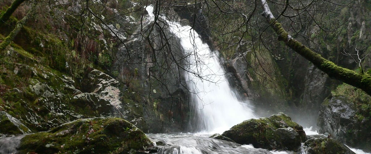 A cascading waterfall surrounded by moss-covered rocks and dense forest.