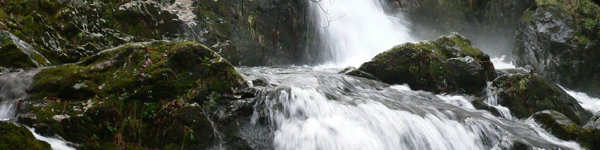 A cascading waterfall surrounded by moss-covered rocks and dense forest.