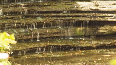 I've been going to the par since I was a kid. Our family vacations in my early years was Mom, Dad and my Sister camping either in an umbrella tent or out of the back of a Chevy station wagon.
This is above the main or Big Clifty Falls.